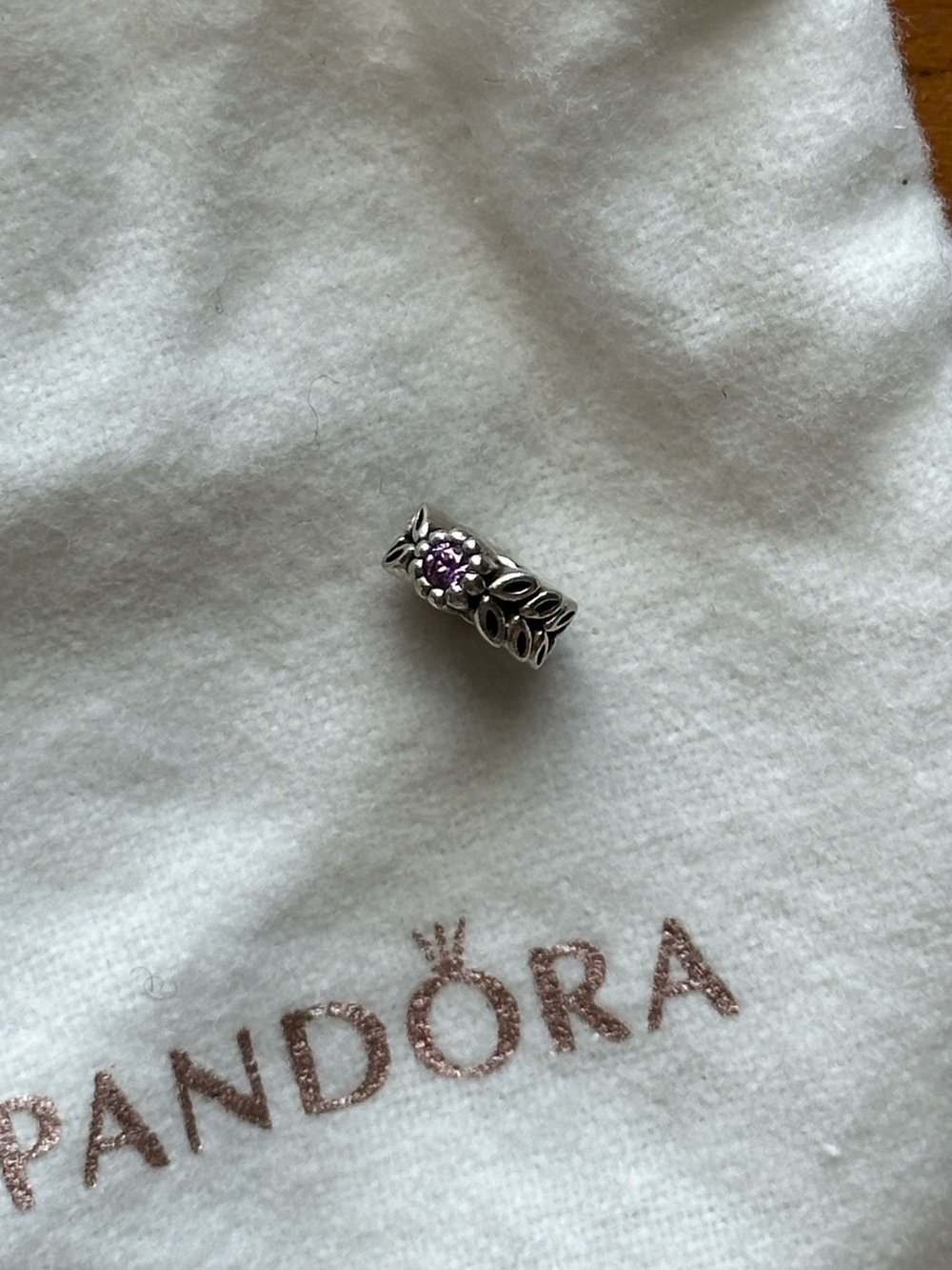 Pandora Twice as Nice Spacer